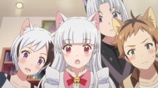 الصورة جميع حلقات انمي Nekopara مترجمة اونلاين و تحميل مباشر