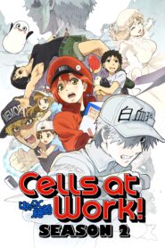 الصورة فيلم Saenai Heroine no Sodatekata Fine مترجم بلوراي