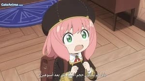 الصورة 96eb1b0ba419759fcd7369a836a828bb-26208-backdrop.jpg