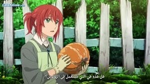 الصورة جميع حلقات انمي Birdie Wing: Golf Girls’ Story مترجمة